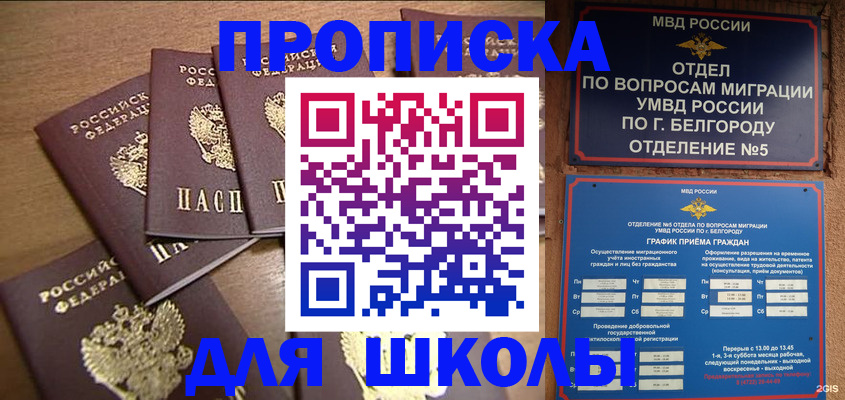 прописка гарантия в Коле